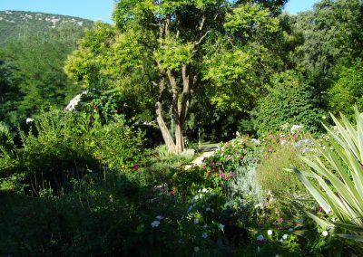 Gite Le Pagnol - Sauve Gard - Logis des Magnans